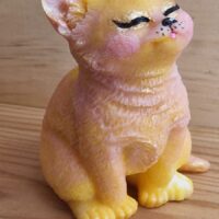 "Le chat"